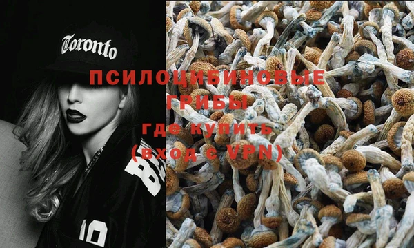 марки nbome Бугульма