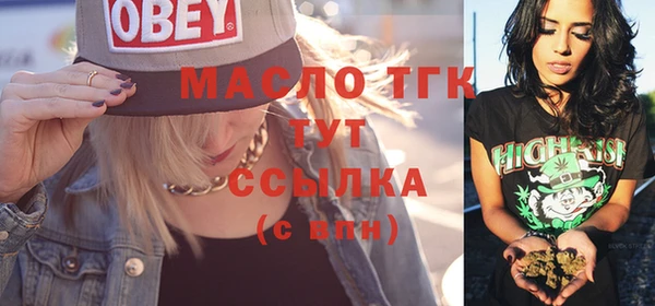 стаф Бородино