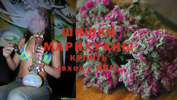 ECSTASY Бронницы