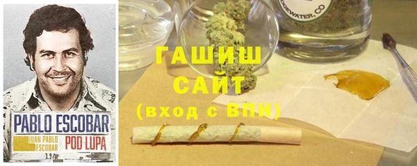 стаф Бородино