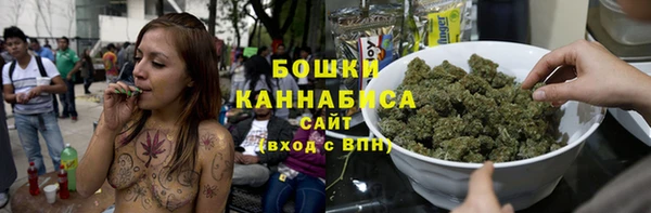 стаф Бородино