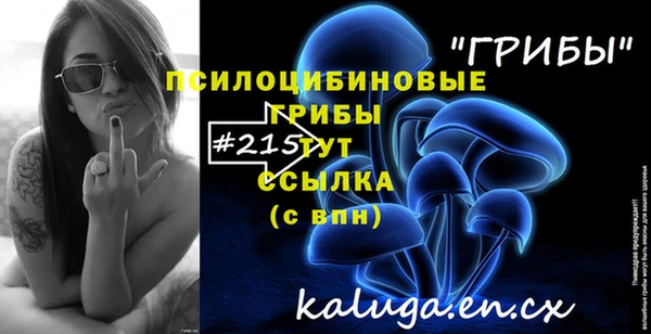 стаф Бородино