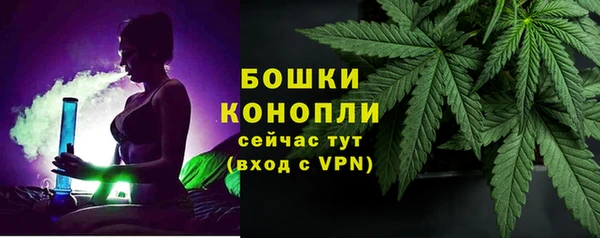 бошки Верхний Тагил