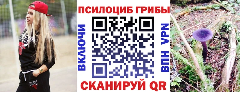 Галлюциногенные грибы Magic Shrooms  Купить где  Камышлов 