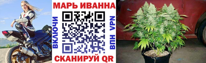 Бошки марихуана планчик  Купить закладки  Камышлов 